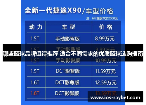 哪些篮球品牌值得推荐 适合不同需求的优质篮球选购指南