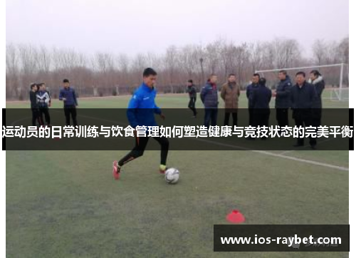 运动员的日常训练与饮食管理如何塑造健康与竞技状态的完美平衡