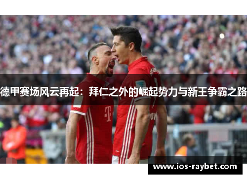 德甲赛场风云再起：拜仁之外的崛起势力与新王争霸之路