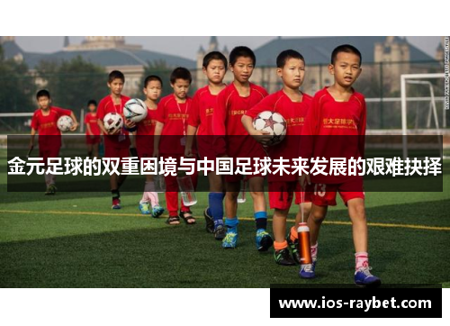 金元足球的双重困境与中国足球未来发展的艰难抉择
