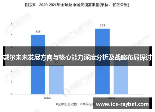 戴尔未来发展方向与核心能力深度分析及战略布局探讨