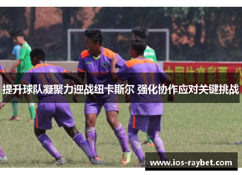 /uploads/images/20250809/ti-sheng-qiu-dui-ning-ju-li-ying-zhan-niu-ka-si-er-qiang-hua-xie-zuo-ying-dui-guan-jian-tiao-zhan.webp