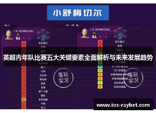 英超青年队比赛五大关键要素全面解析与未来发展趋势