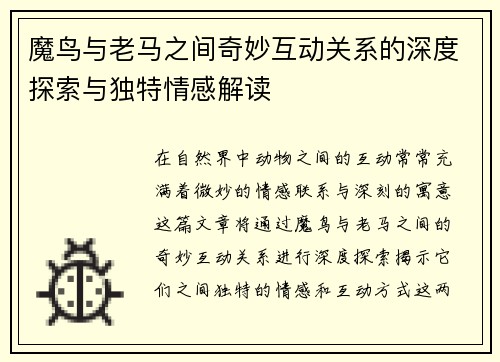 魔鸟与老马之间奇妙互动关系的深度探索与独特情感解读